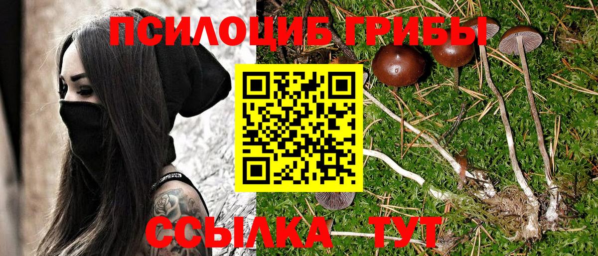 Галлюциногенные грибы Magic Shrooms  Псилоцибиновые грибы GOLDEN TEACHER  Вход с VPN  Троицк 