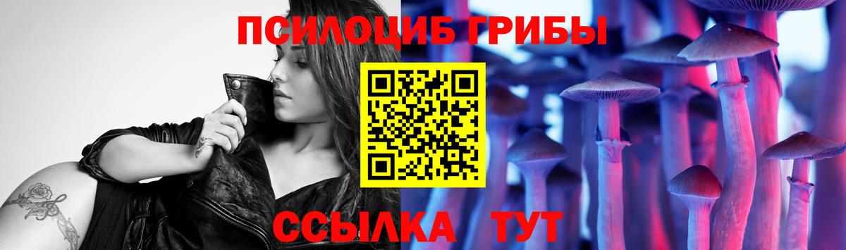 Псилоцибиновые грибы GOLDEN TEACHER Троицк